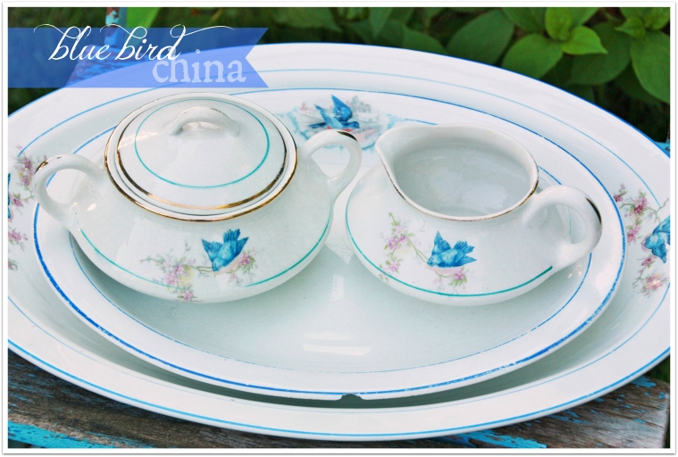 bluebird china 2