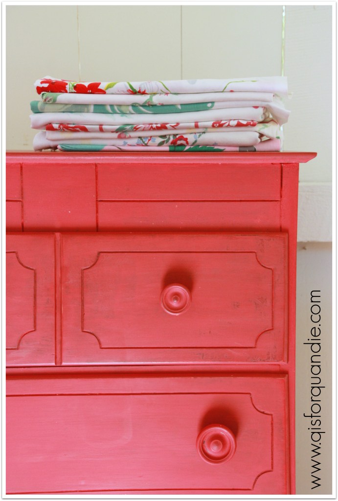 cathys freebie close up