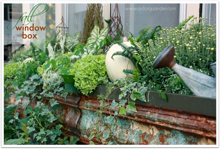 fall window box title