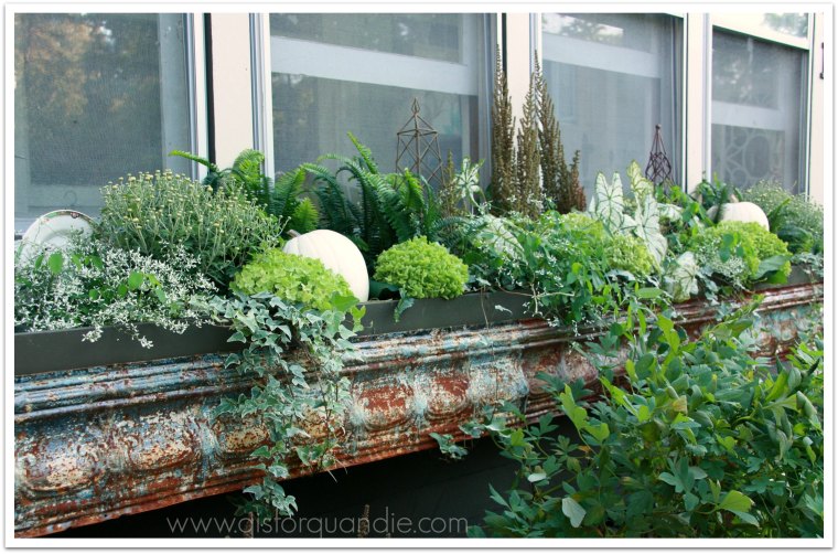 full fall window box