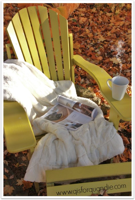 watching the leaves fall