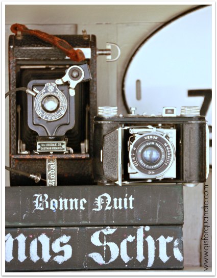 thrift store camera 2