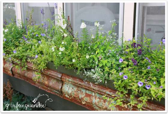 summer window box