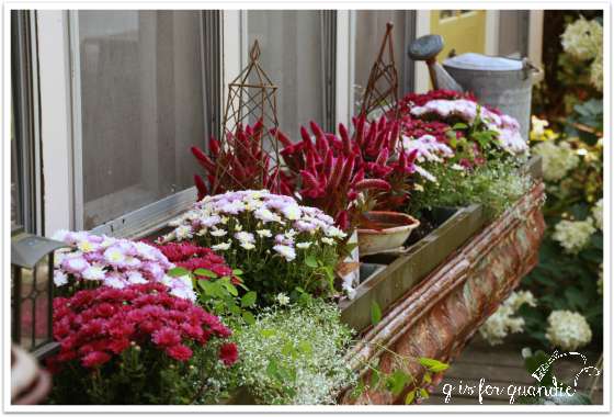 window box 1