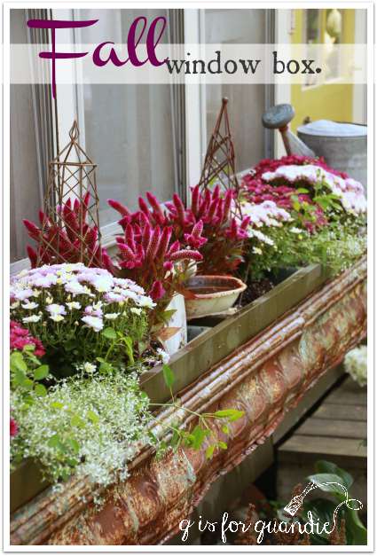 window box 3