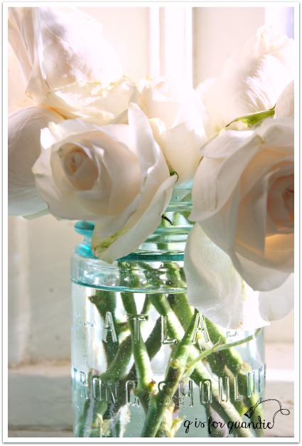 roses in blue jar