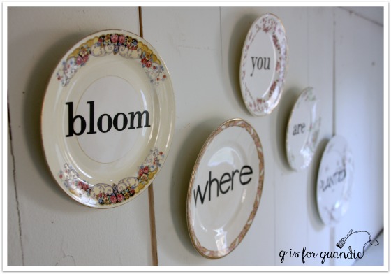 bloom plates 1
