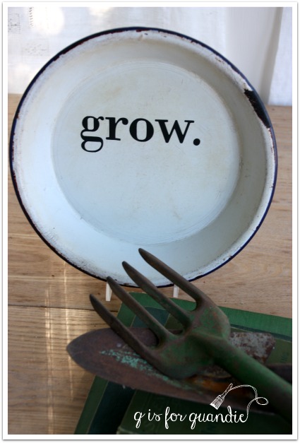 enamelware grow plate