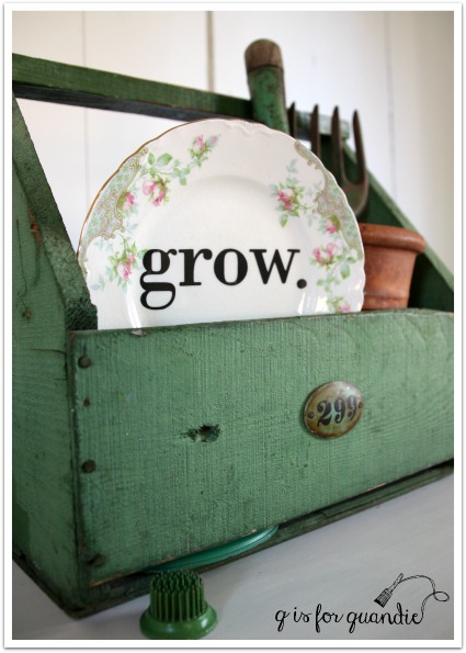 grow plate in box