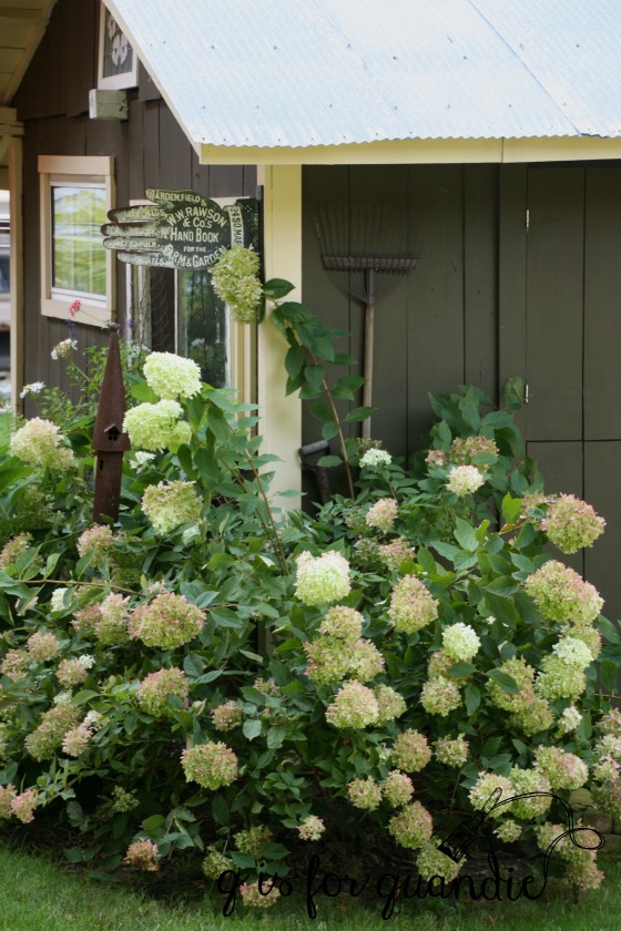 late summer photo cottage