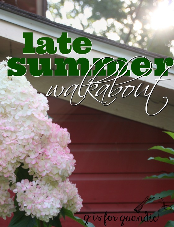 late summer walkabout