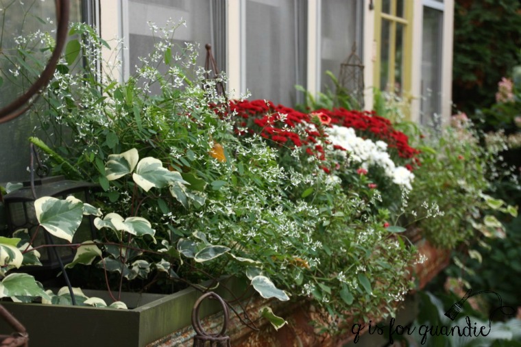fall-front-window-box
