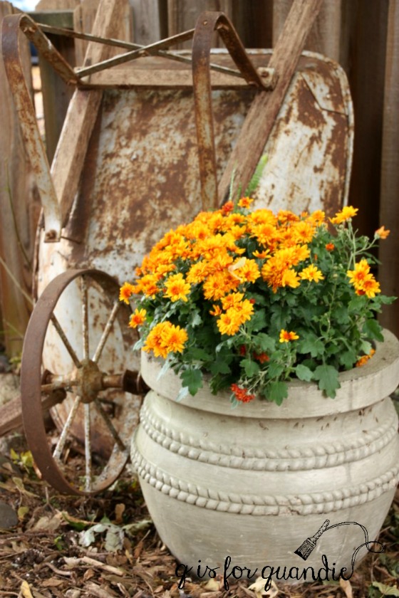 fall-wheelbarrow-and-mum