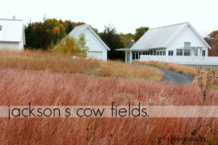 jackson-meadow-title-1280x853