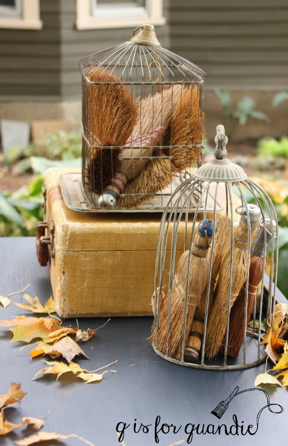 whisk-brooms-in-cages