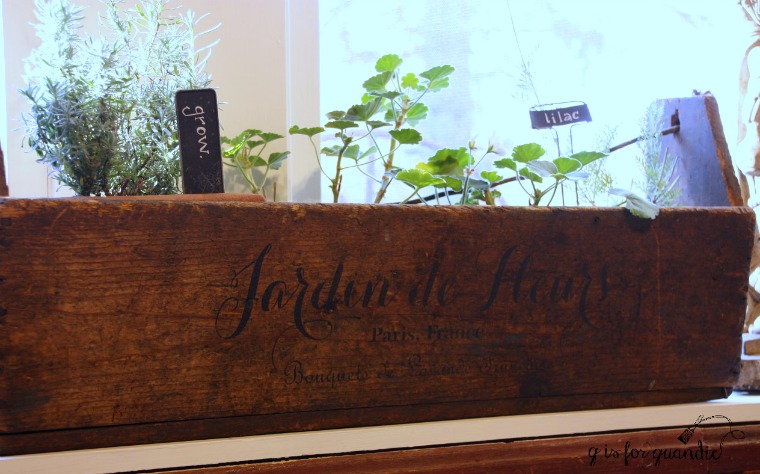 winter-window-garden-2