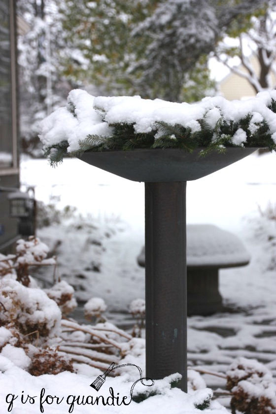 winter-birdbath