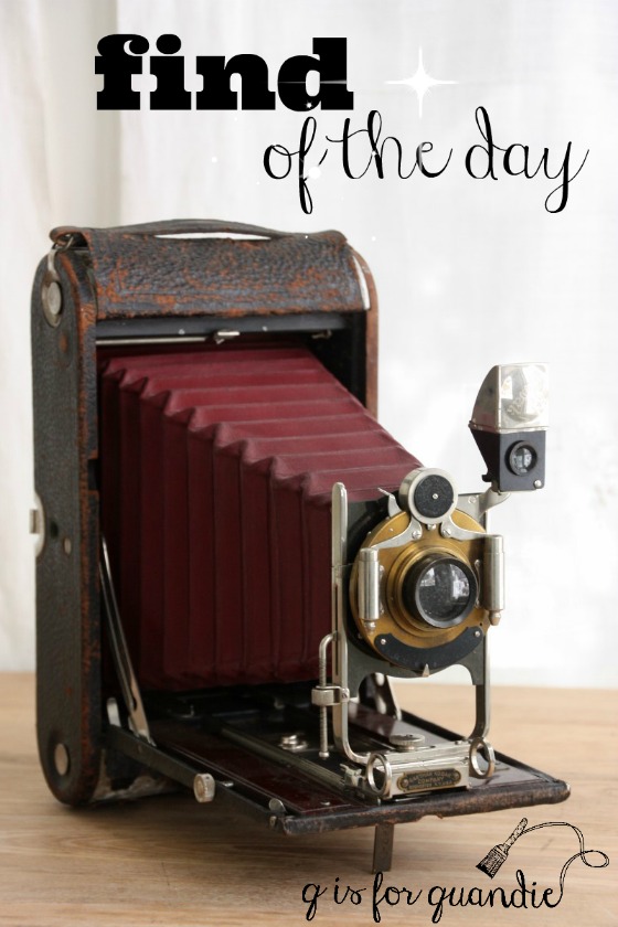 winter-sale-find-of-the-day