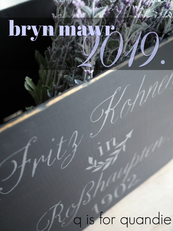 bryn mawr 2019. – q is for quandie