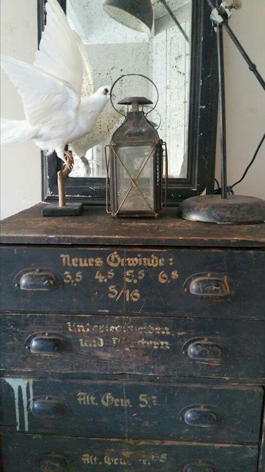 the primitive. q is for quandie the primitive. q is for quandie