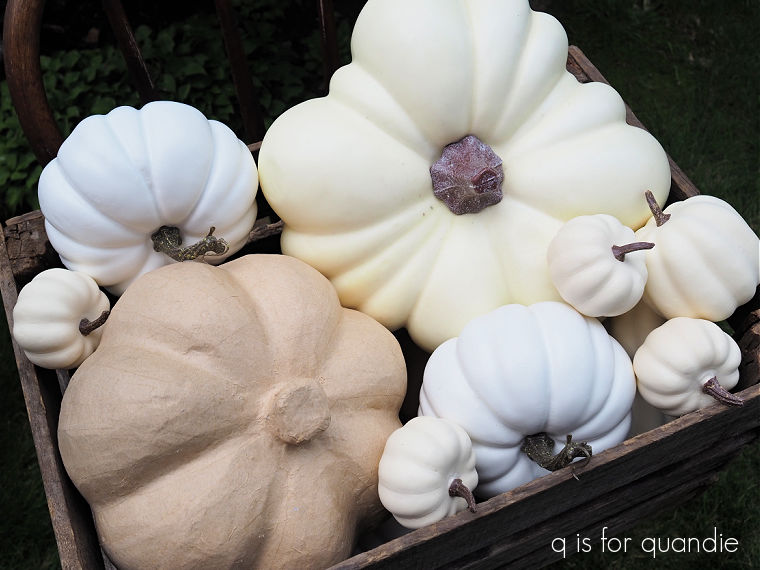 August 2023 – q is for quandie